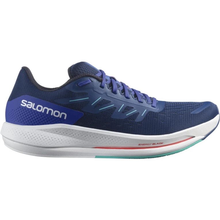 Salomon Spectur Men\'s Running Shoes Blue | CA 29W83